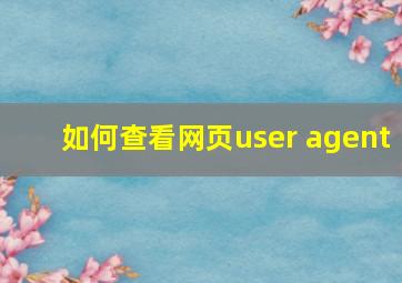 如何查看网页user agent